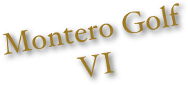 Montero Golf VI